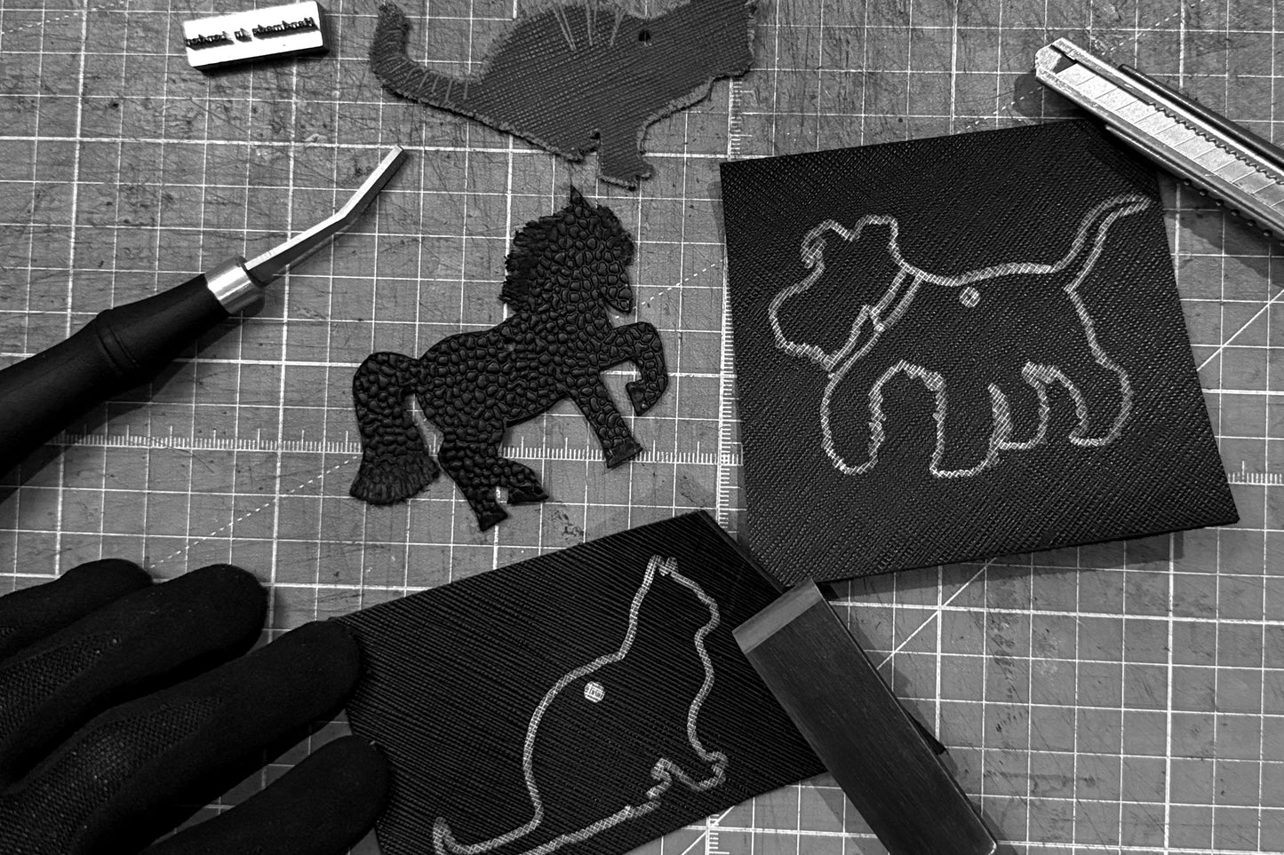 MAGIT Fragment Cat — Black - Made to Order